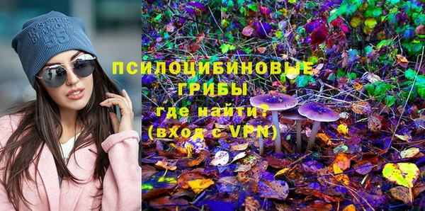 соль ск Алзамай